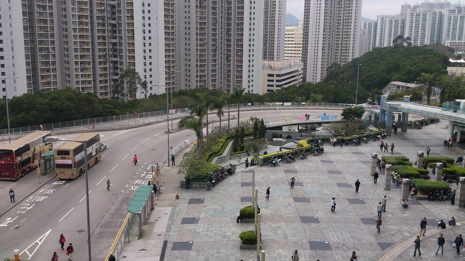 Luk Wo Cafe (Sau Mau Ping Shopping Centre) photo 5
