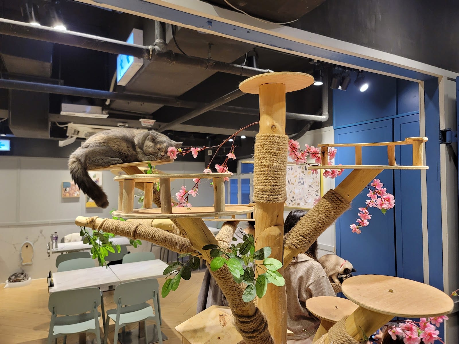 URBAN Cafe (觀塘駱駝漆大廈第1座)