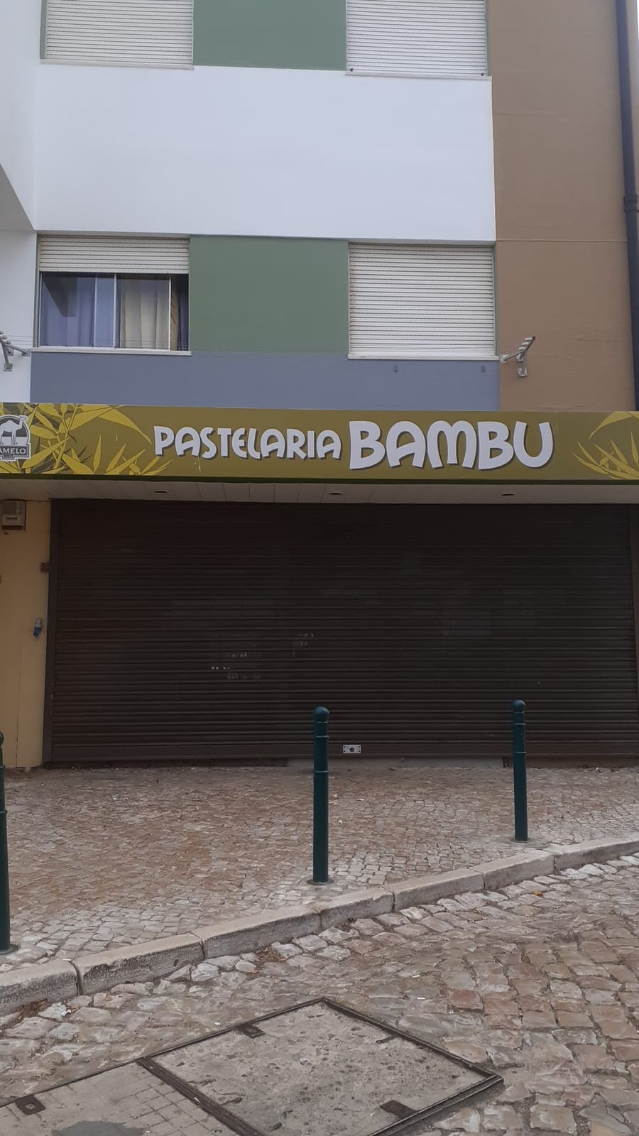 Bambu