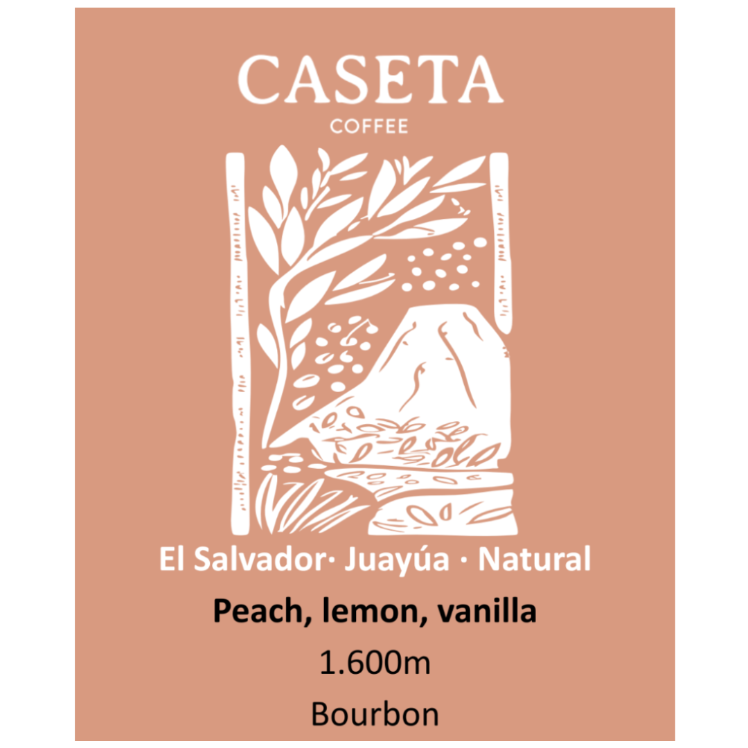 Caseta Coffee photo 9