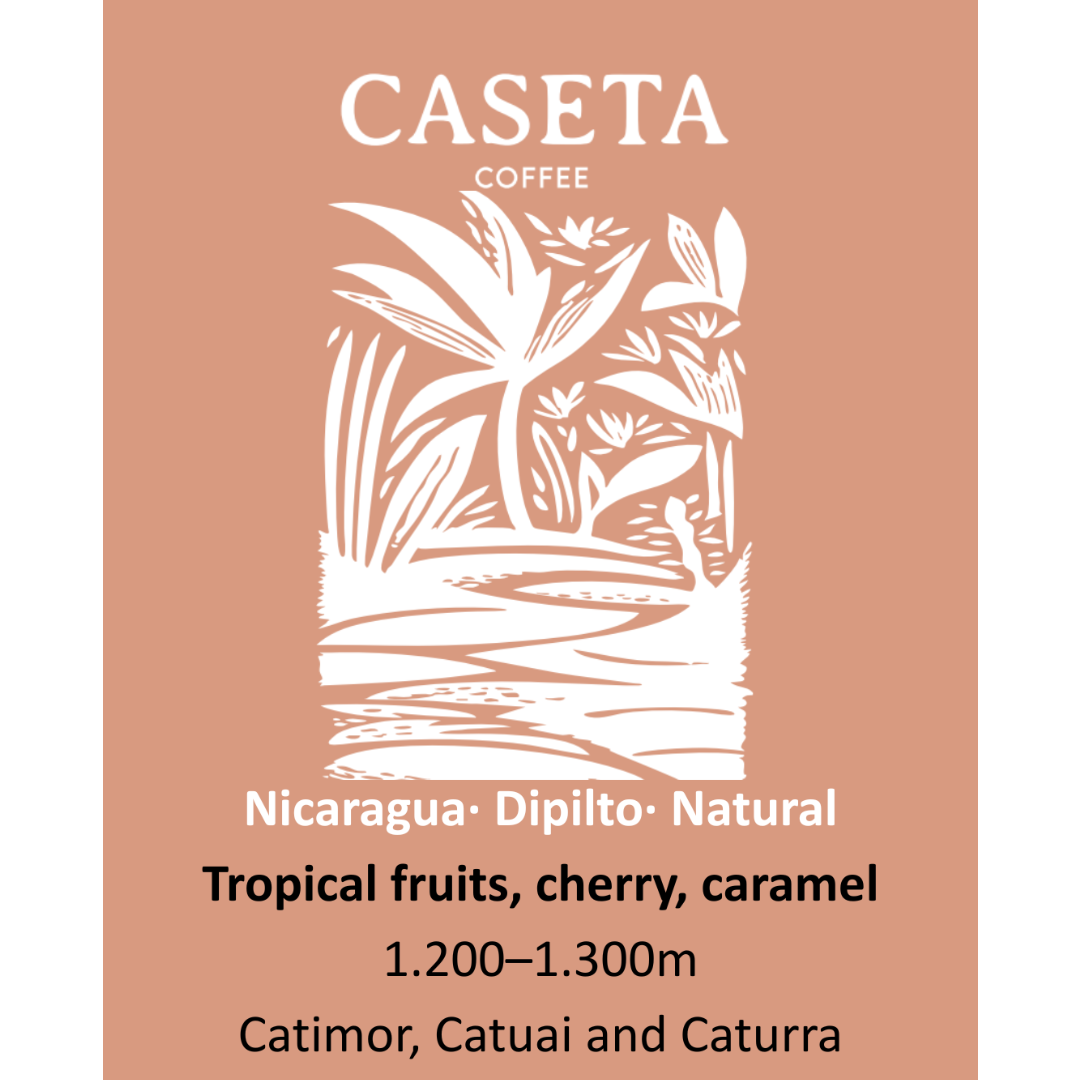 Caseta Coffee photo 7