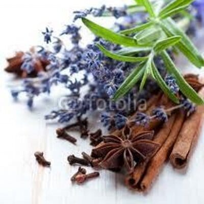 Ginger and Spices photo 2