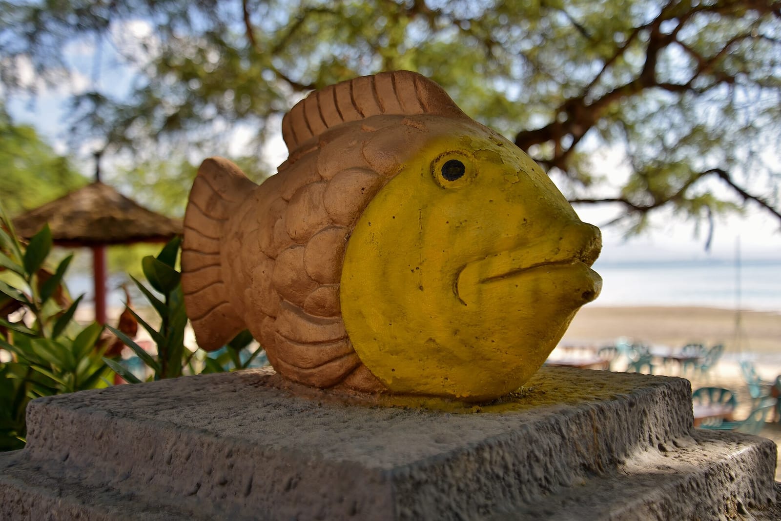 Beachside cafe photo 4