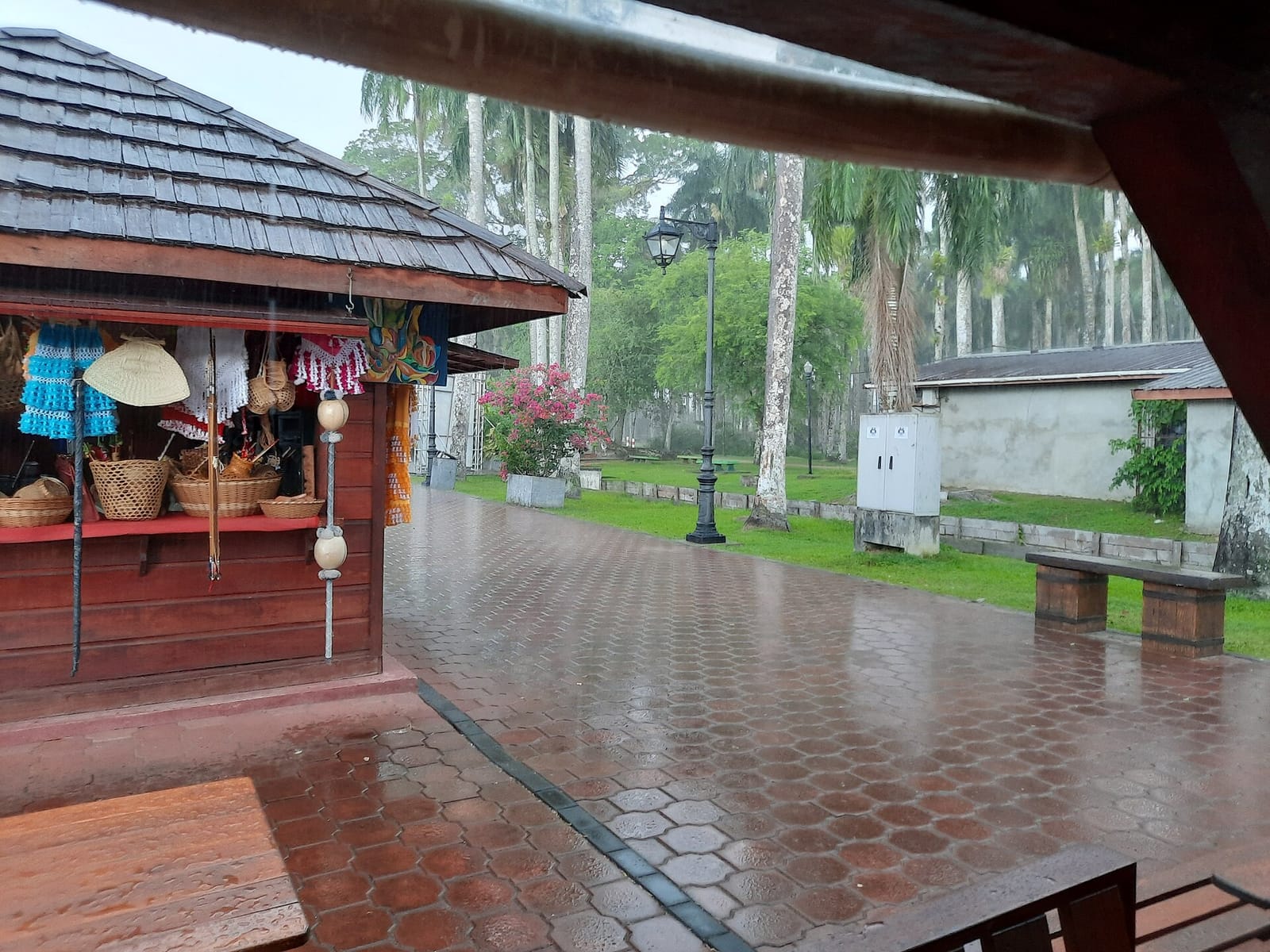 Sweetie Coffee Suriname photo 5