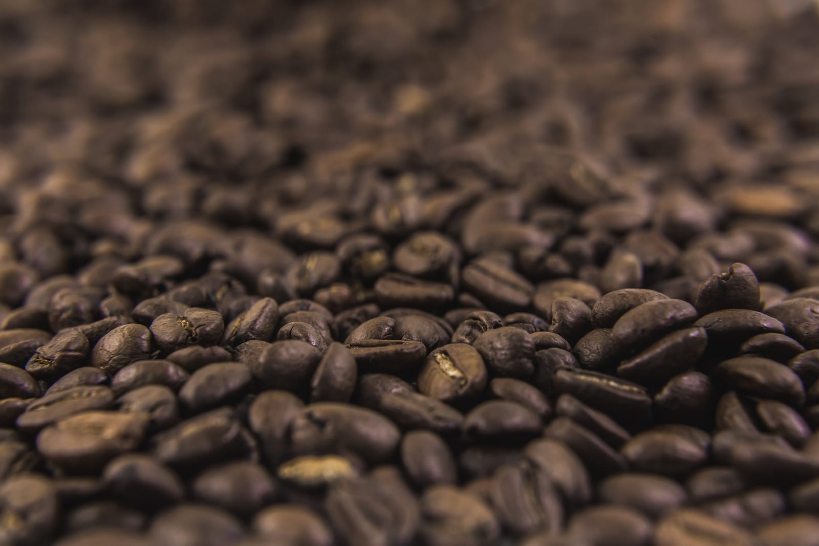 SAQI COFFEE photo 5