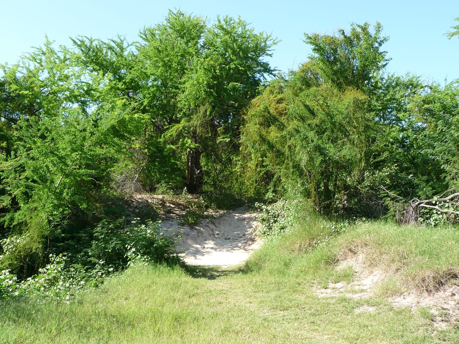 Le Santa Cruz photo 2