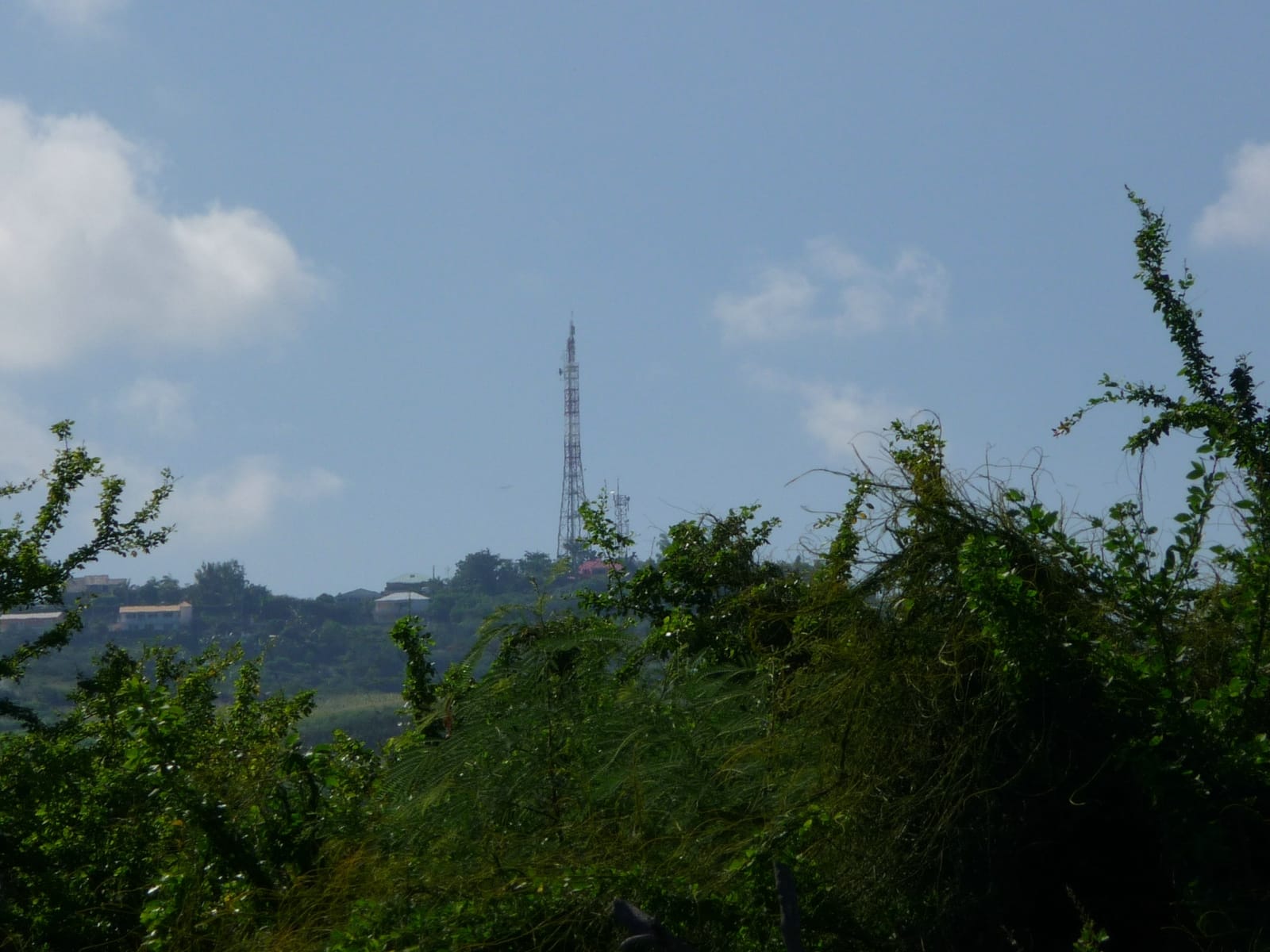 Le Santa Cruz photo 3