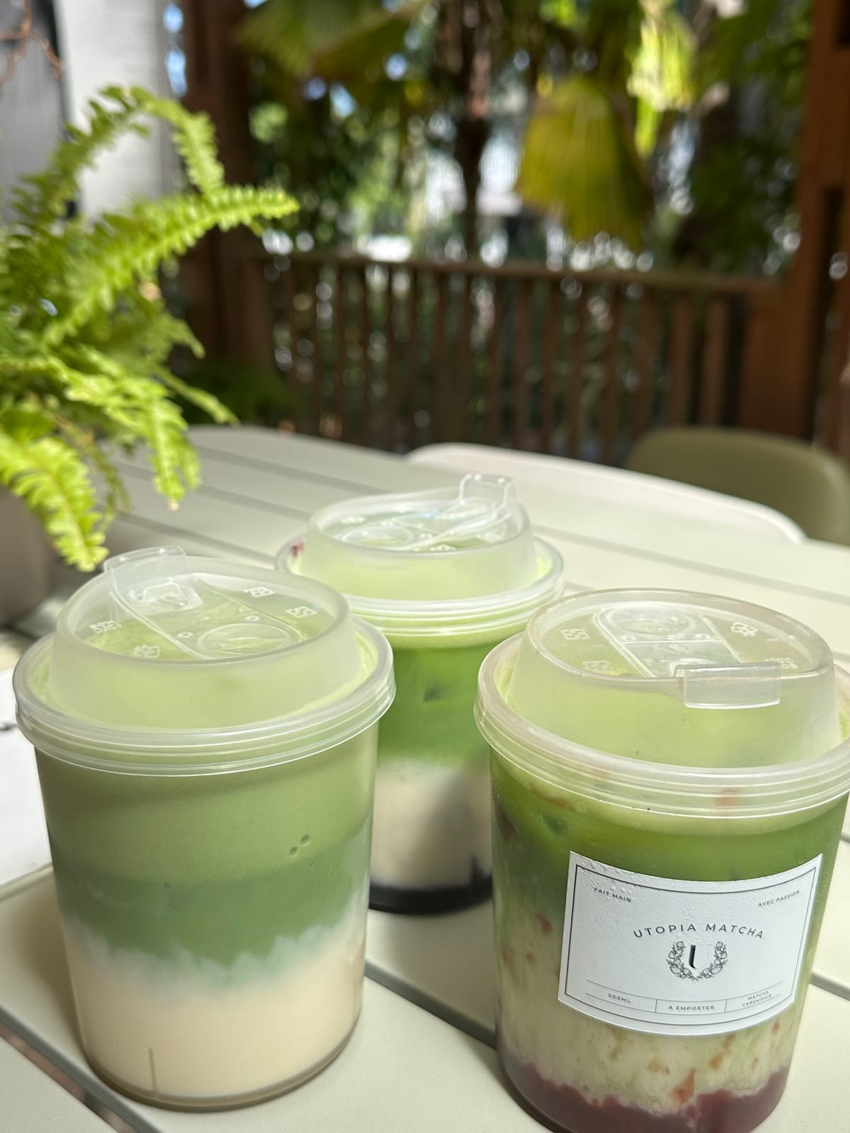 Utopia Matcha