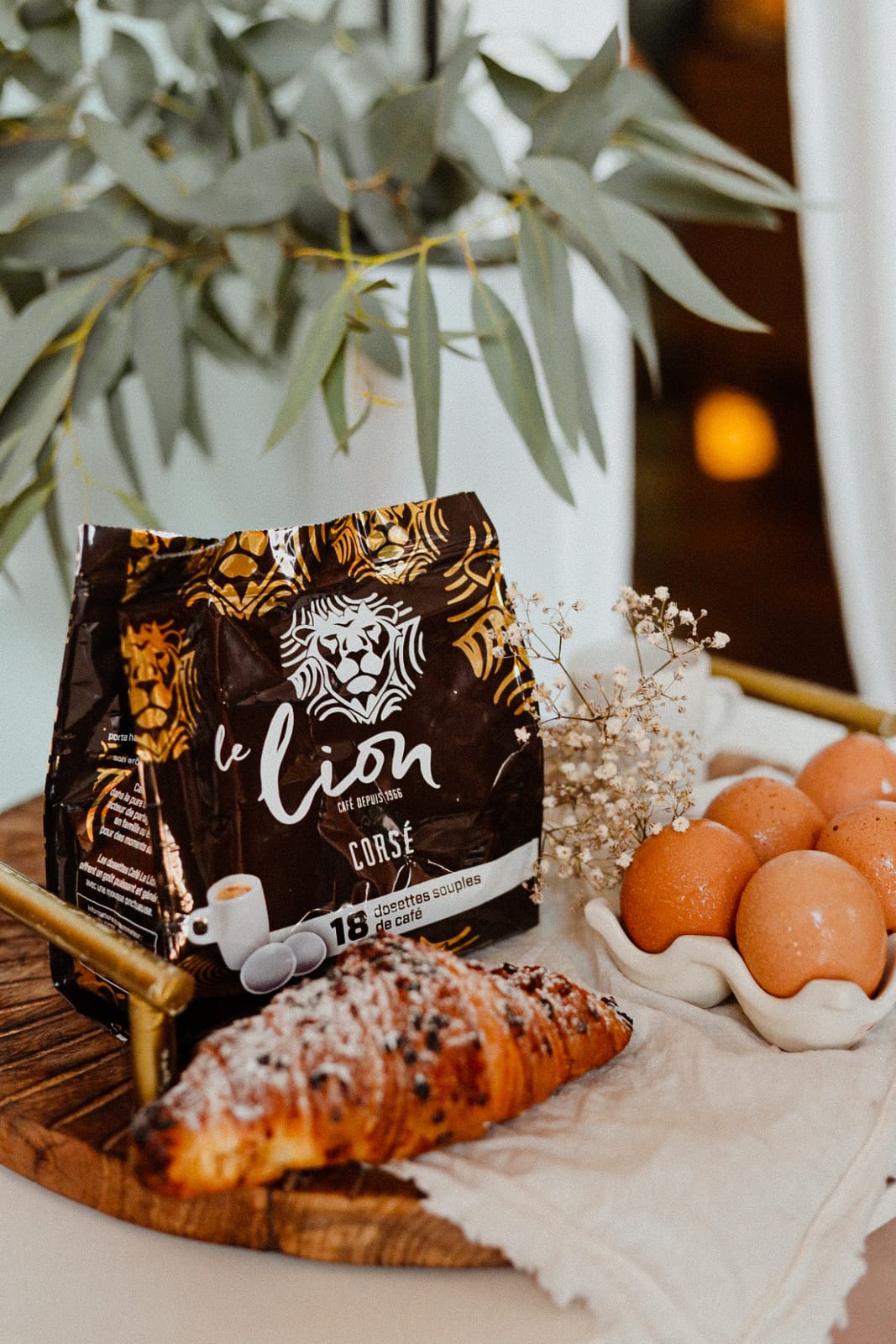 Café le lion - SICRE