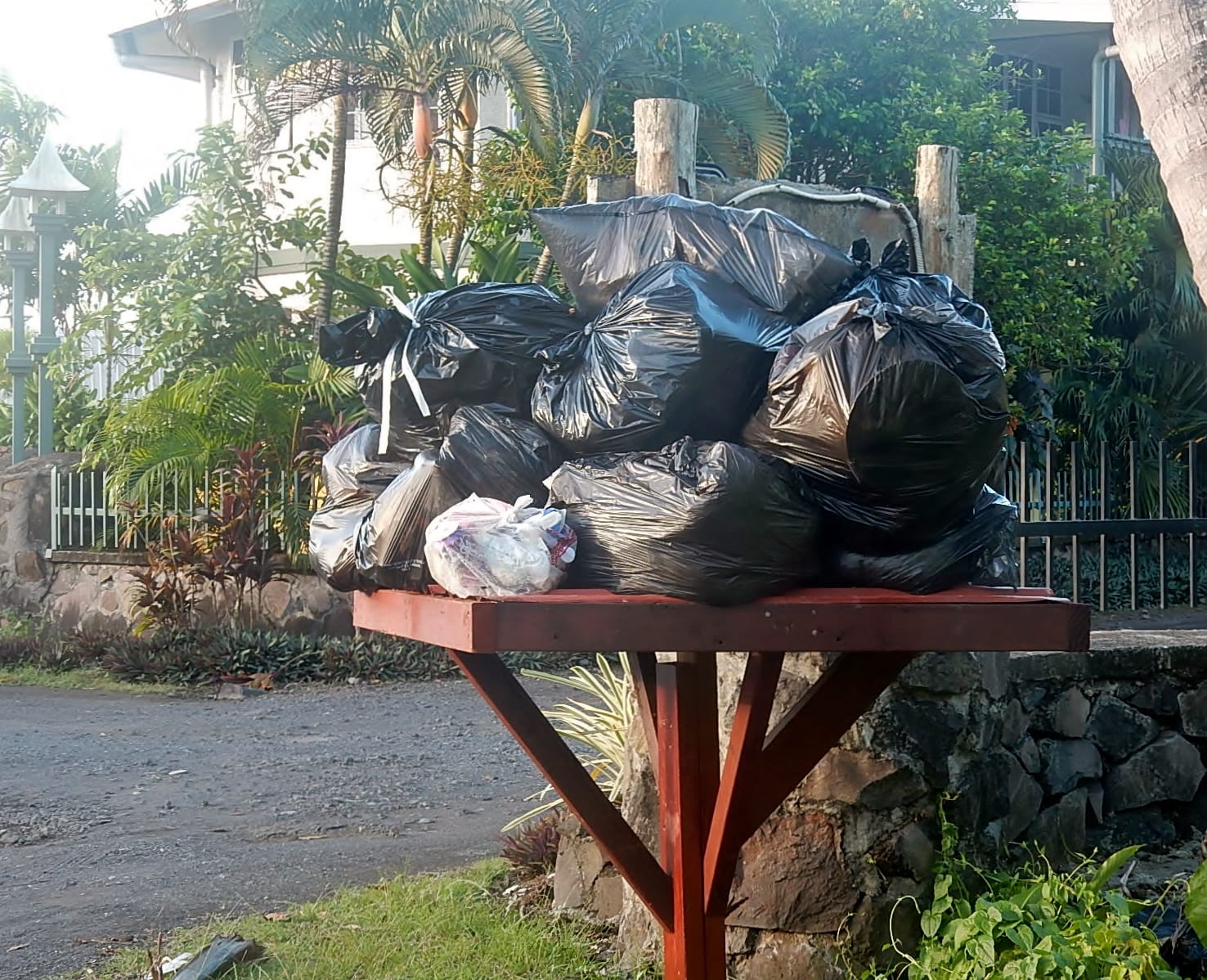 Coffee Roaster Samoa photo 2