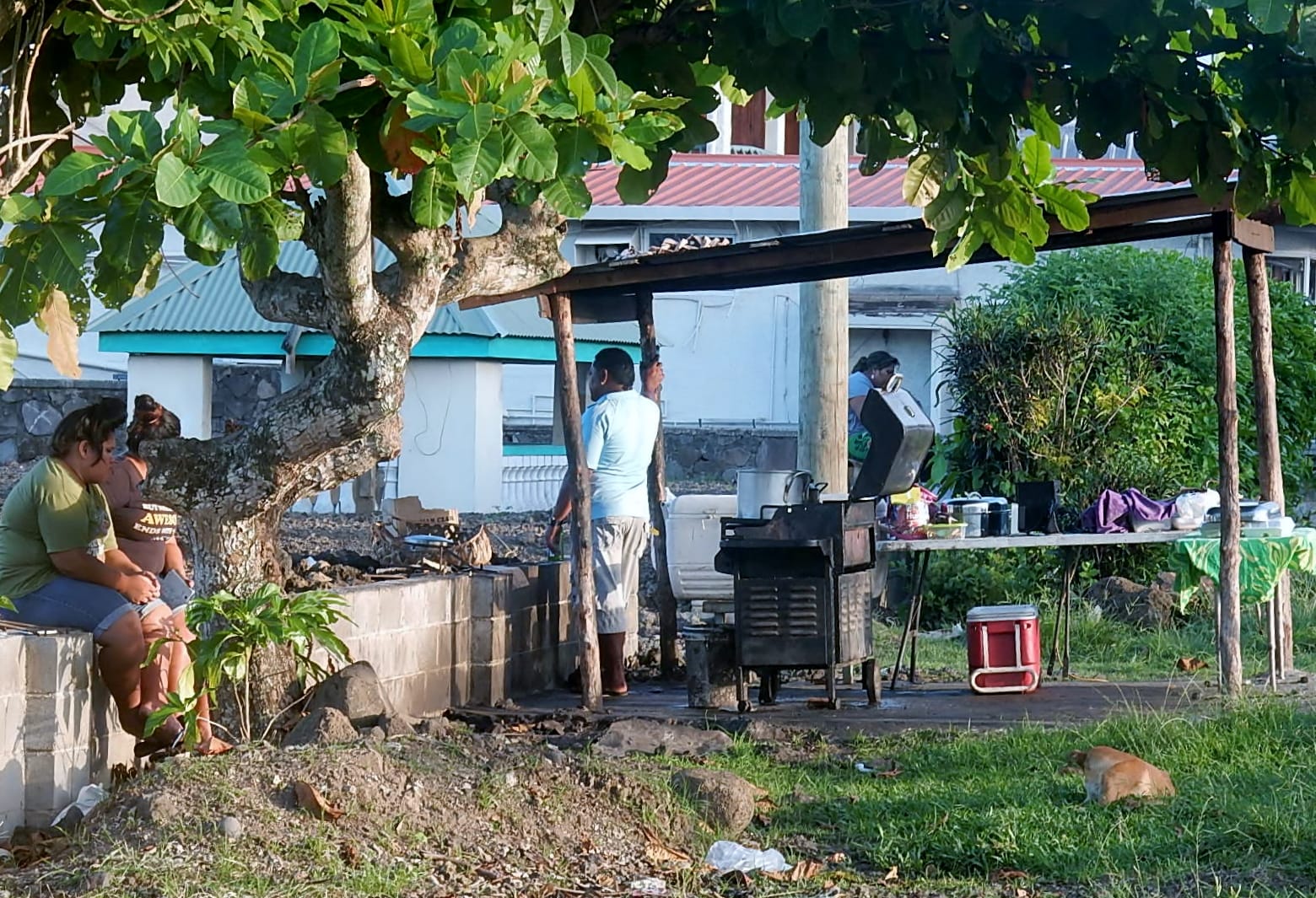 Coffee Roaster Samoa photo 3
