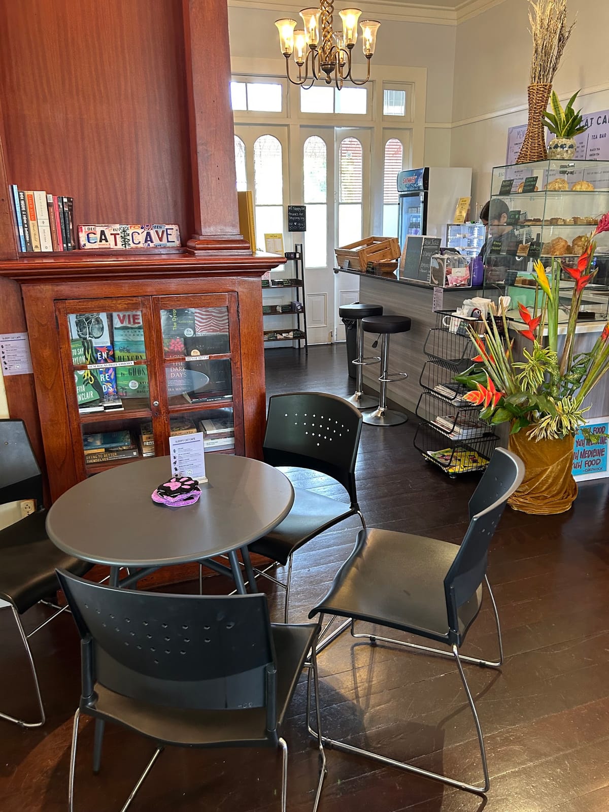 Sleepy Cat Cafe