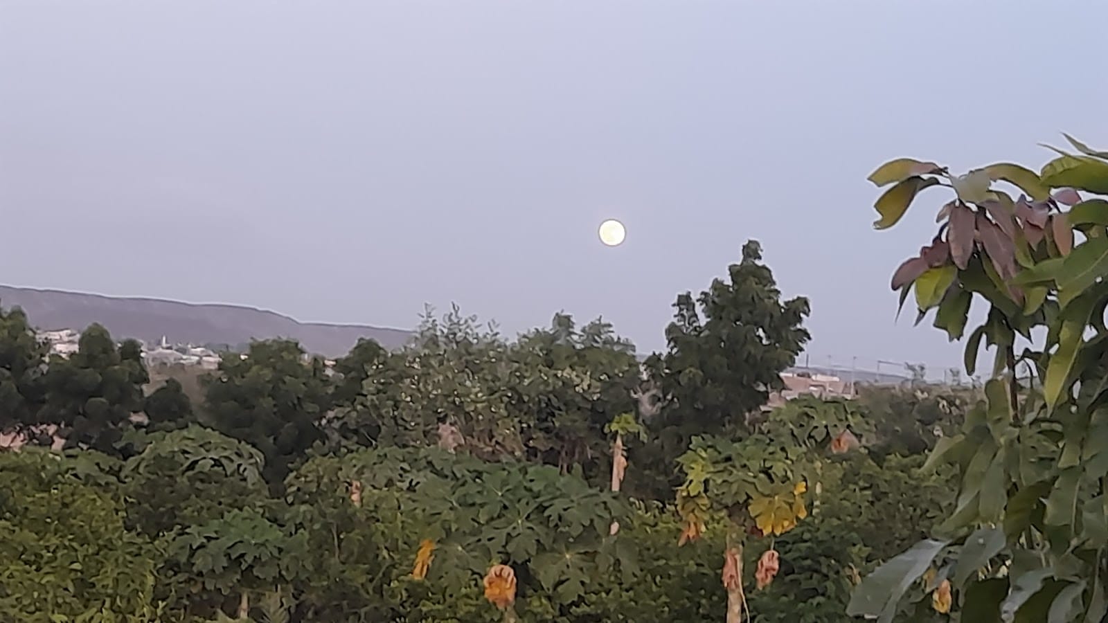 Dikhil