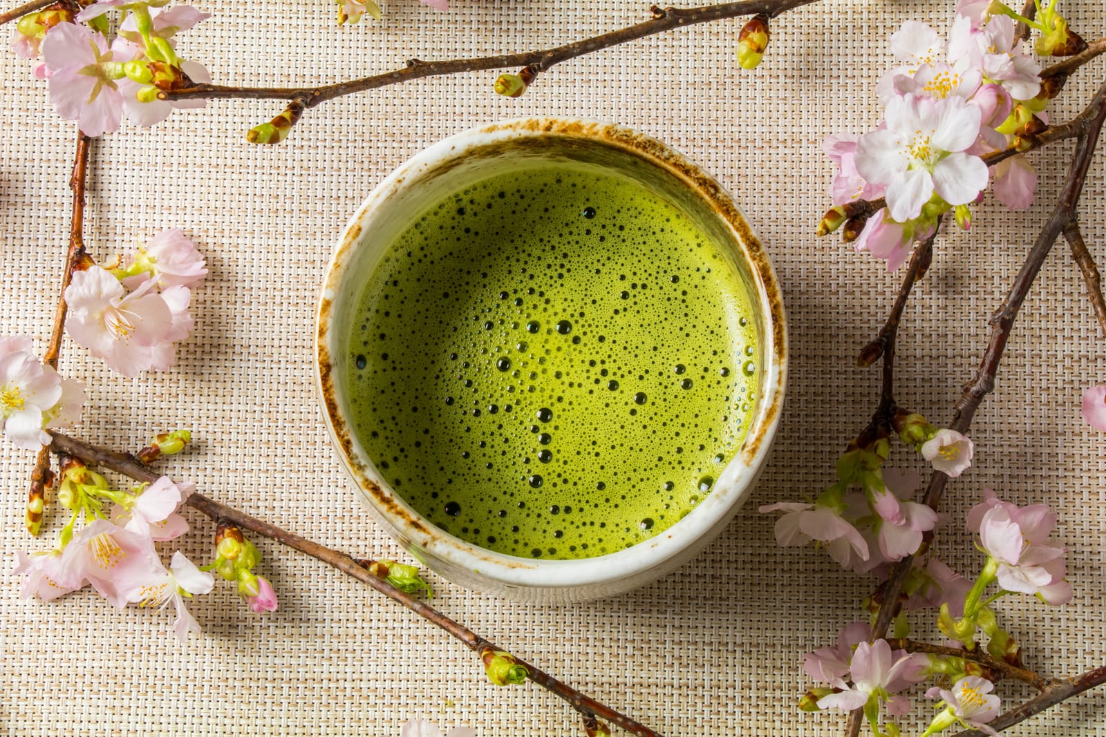 Mademoiselle Matcha photo 3