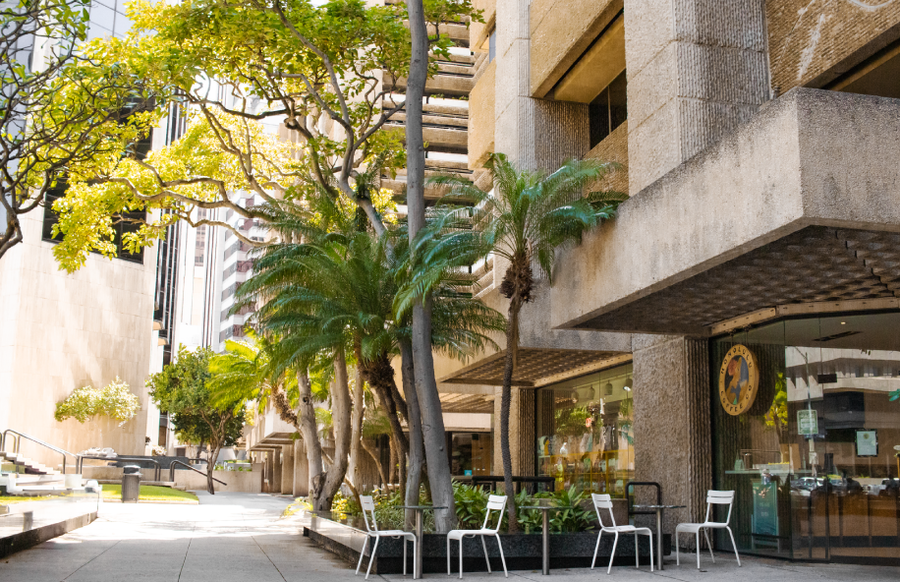 Honolulu Coffee photo 7