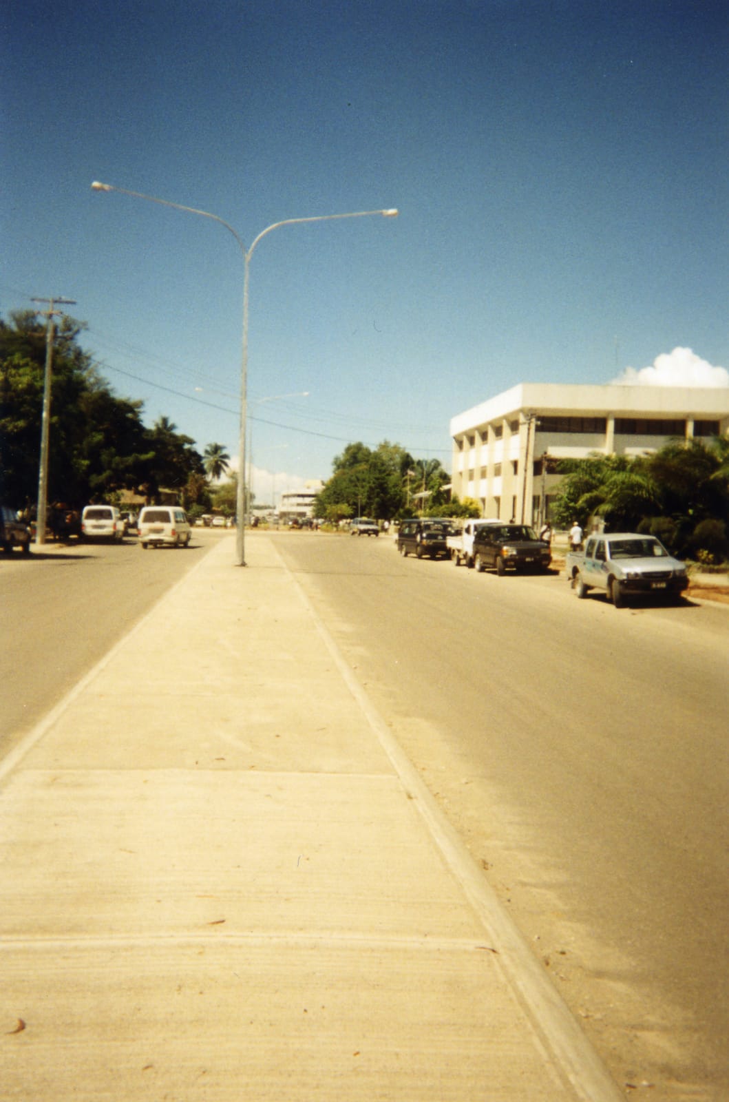 Palm Sugar photo 3