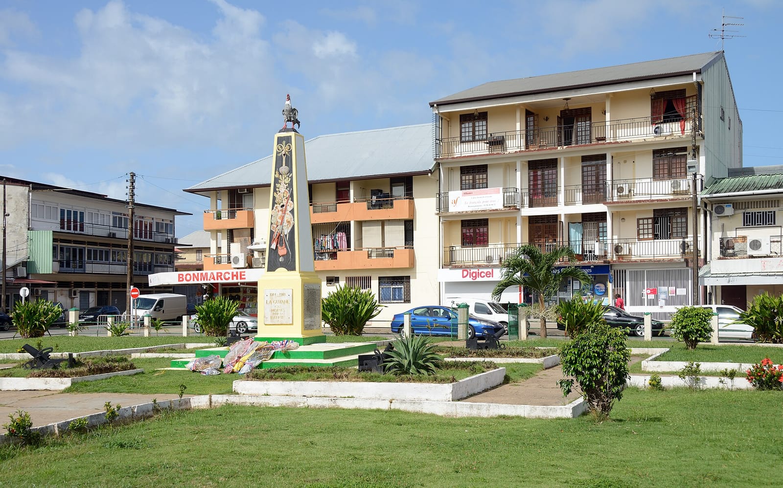 Açai Land photo 2