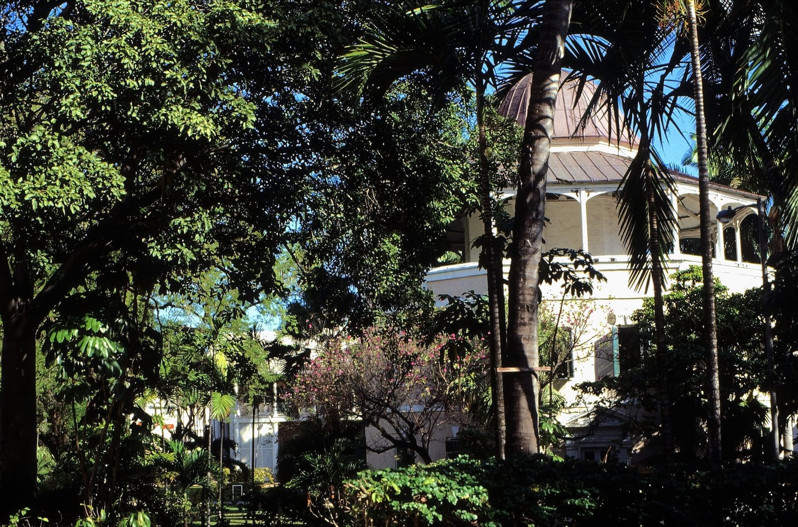 Olde Nassau Cafe photo 3