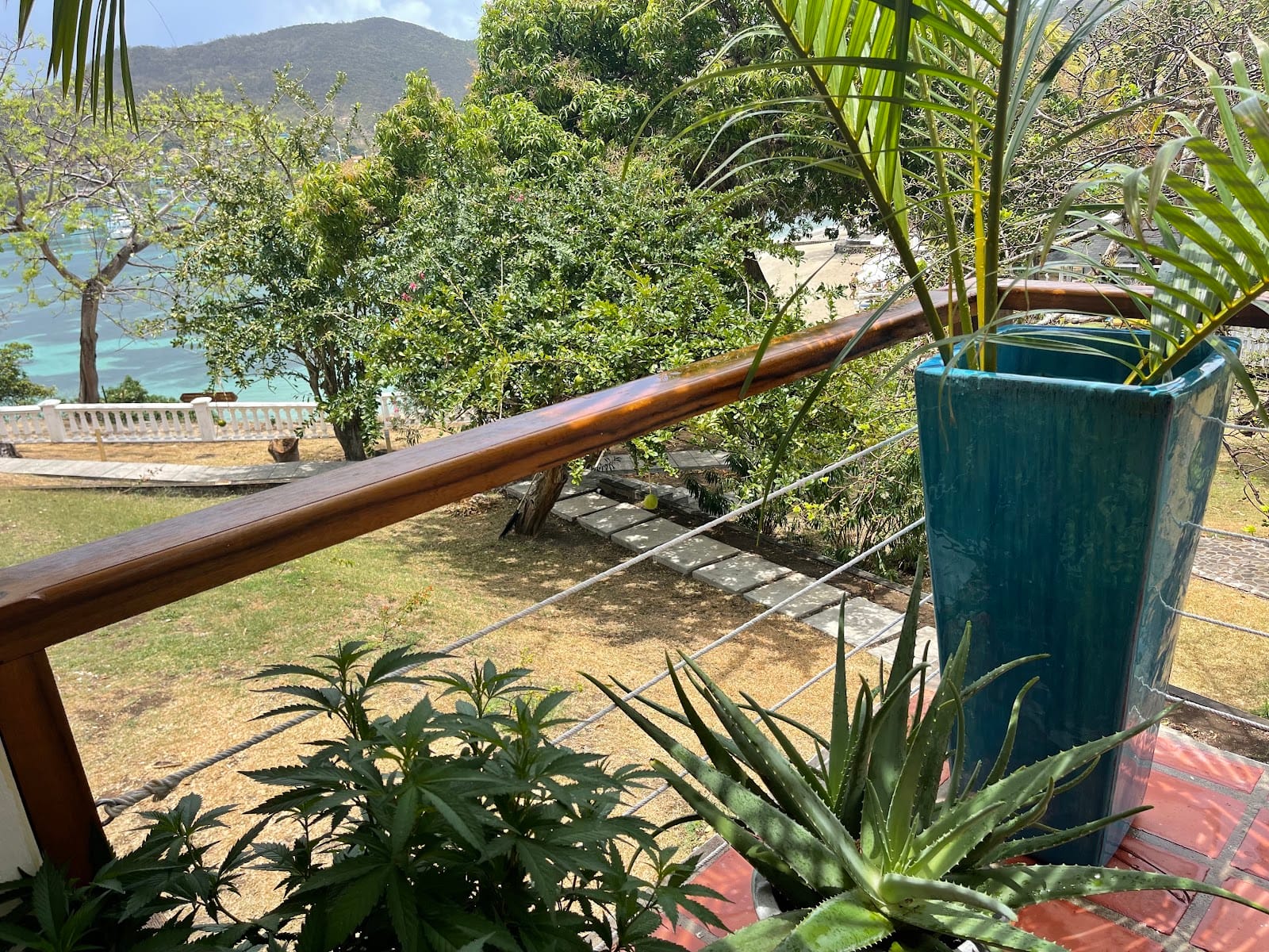 Greenhouse Café Bequia