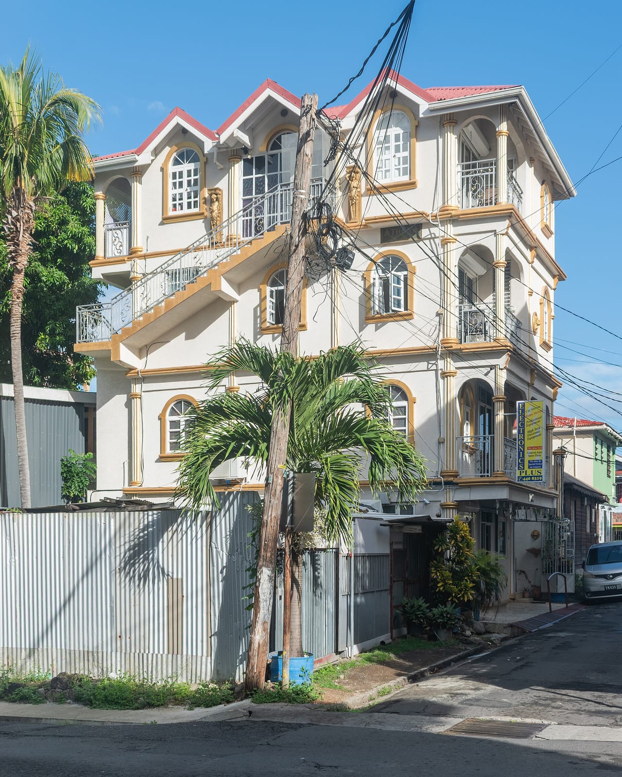 Crazy Carrot photo 4