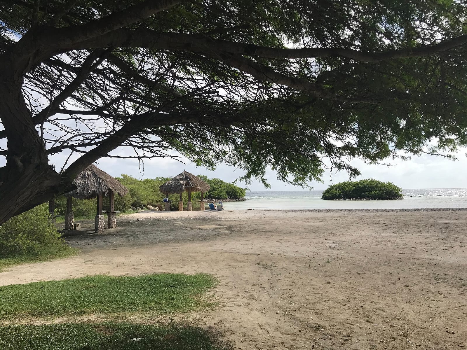 Mangrove cafe photo 4
