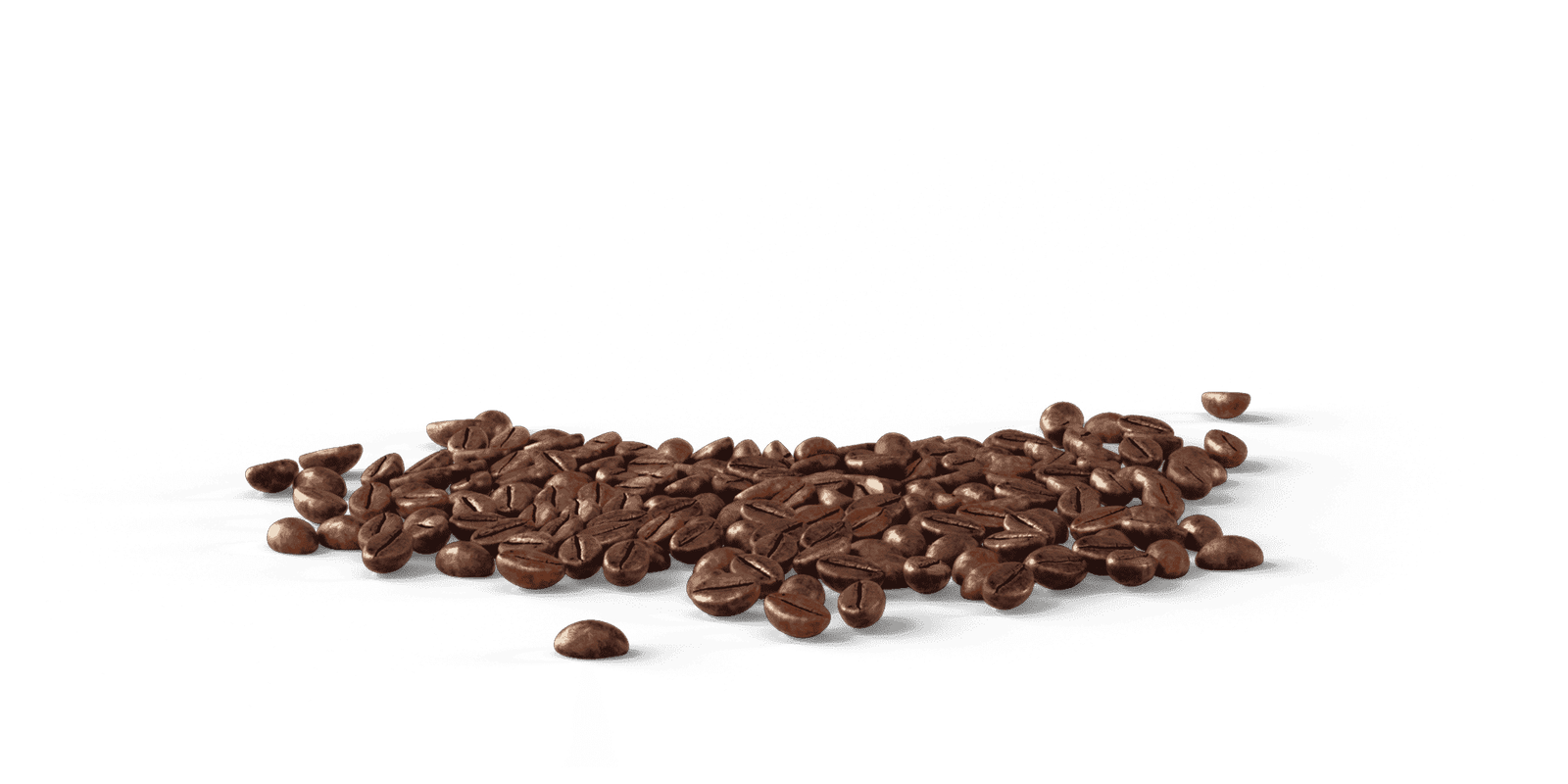 Curacao Island Coffee Roasters photo 3