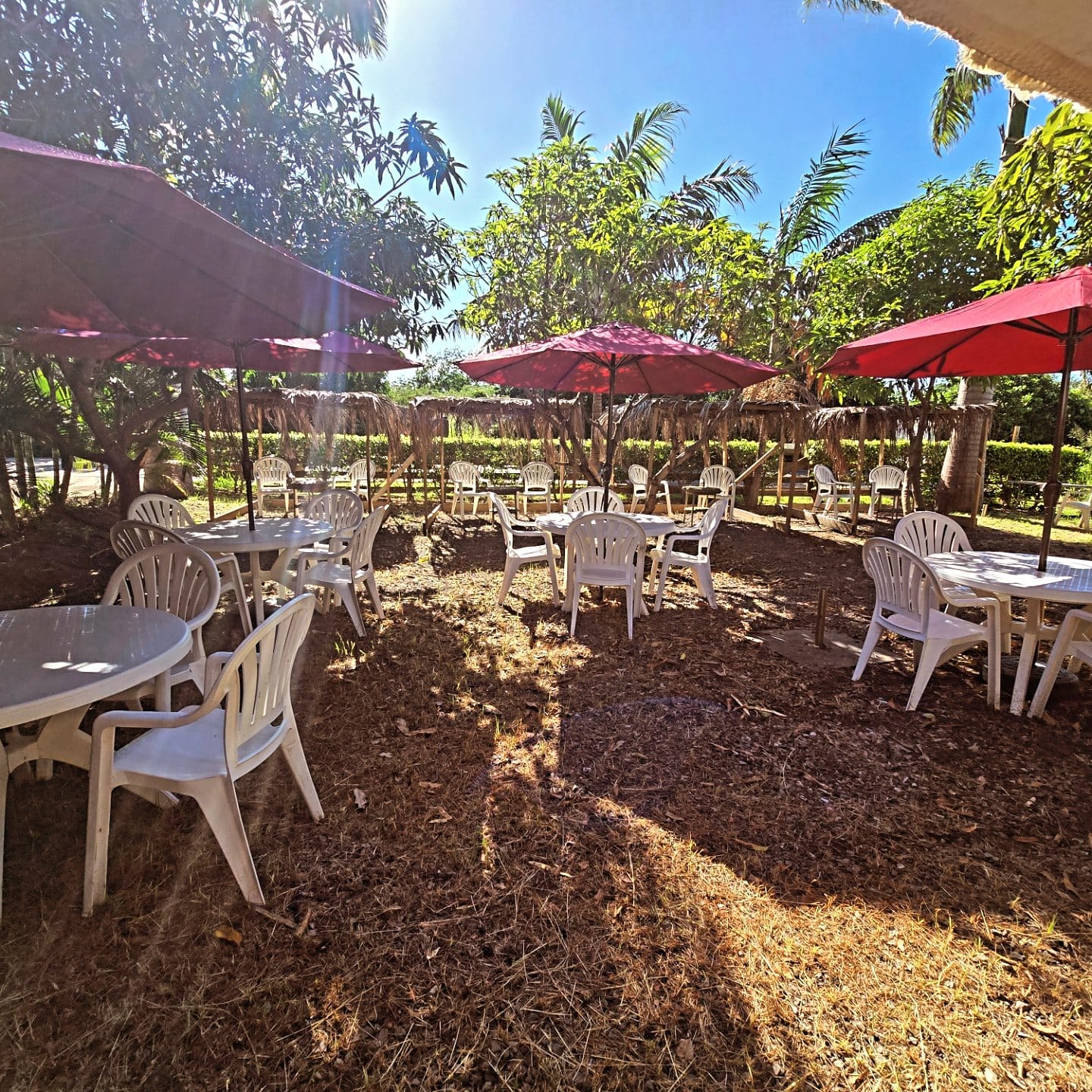 The Green Cafe