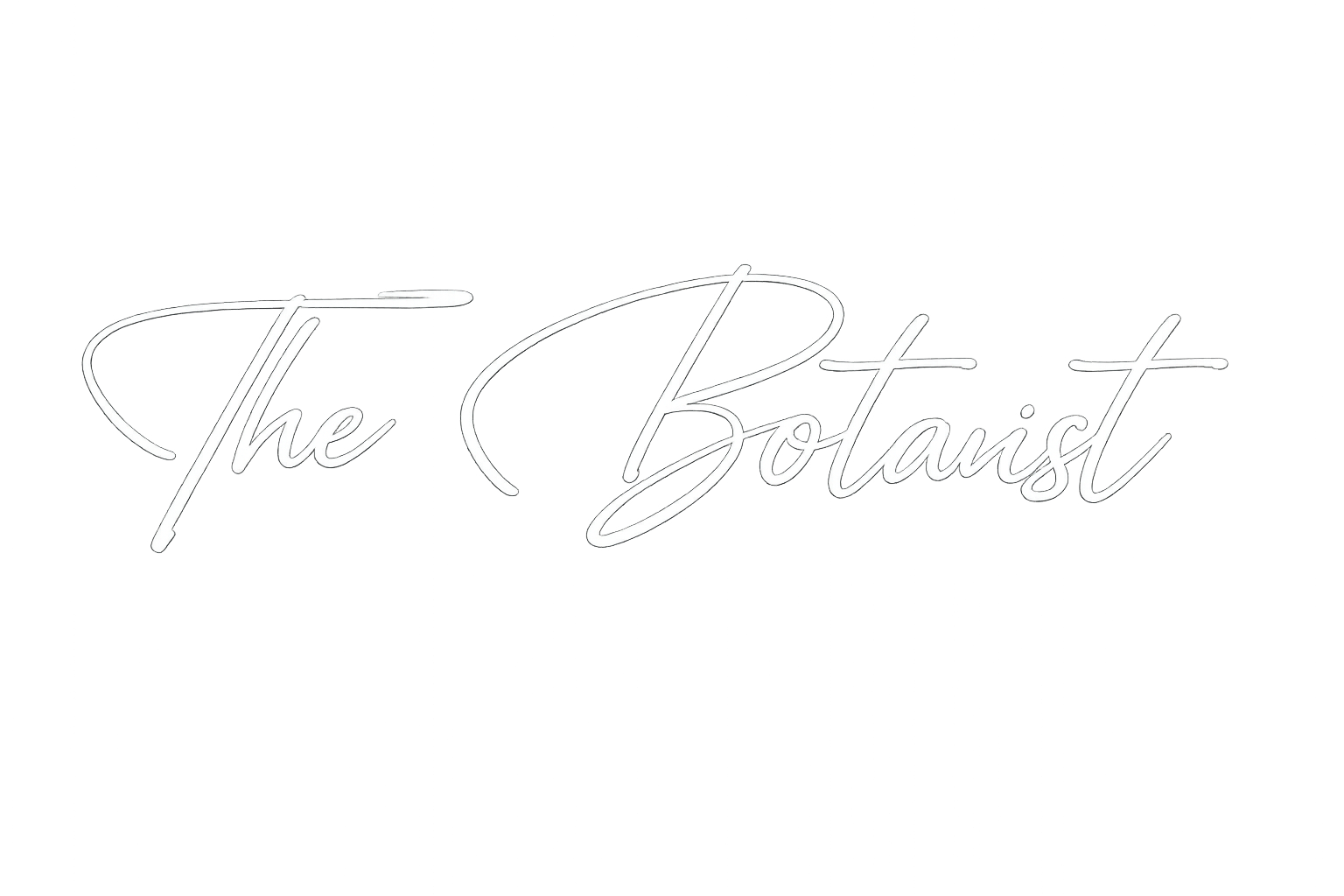 The Botanist Cafe & Garden Lounge photo 5