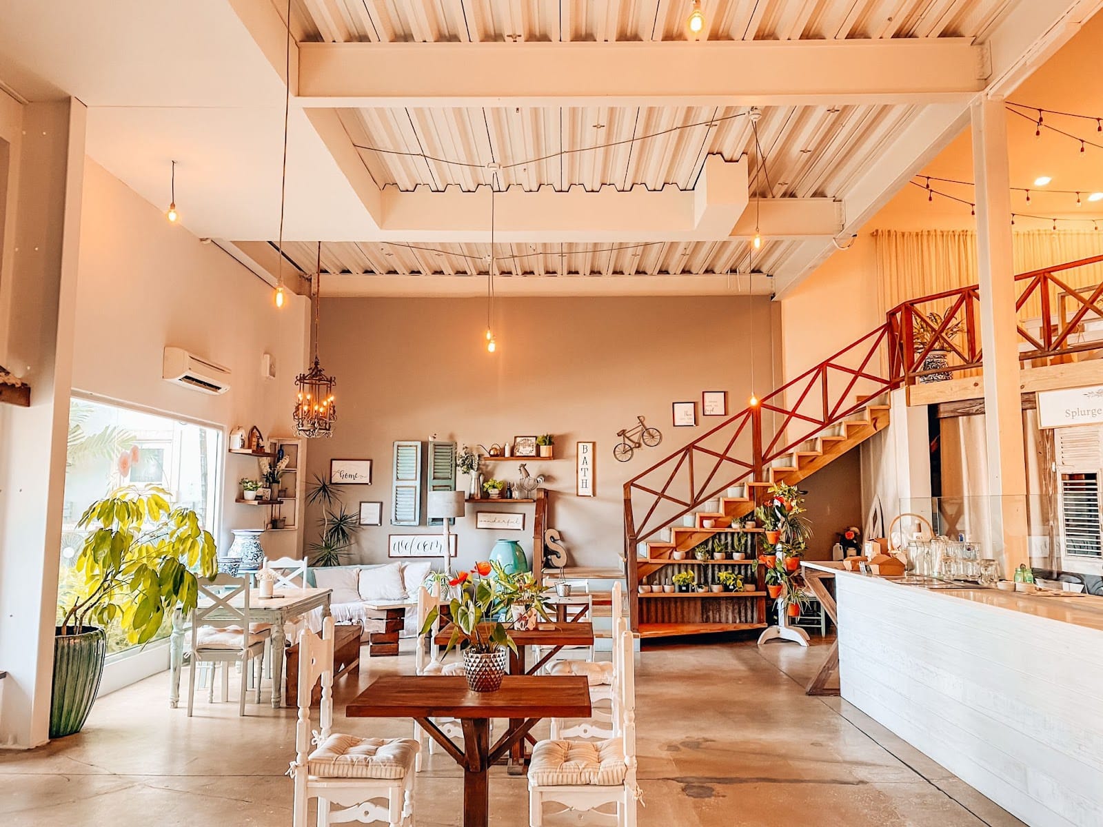 Splurge Cake Studio