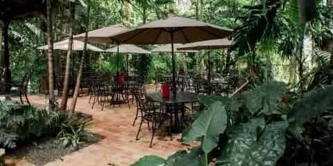 Terrace Café photo 9