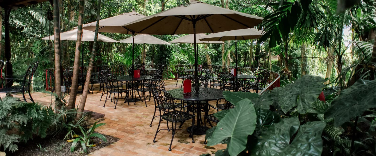 Terrace Café photo 3