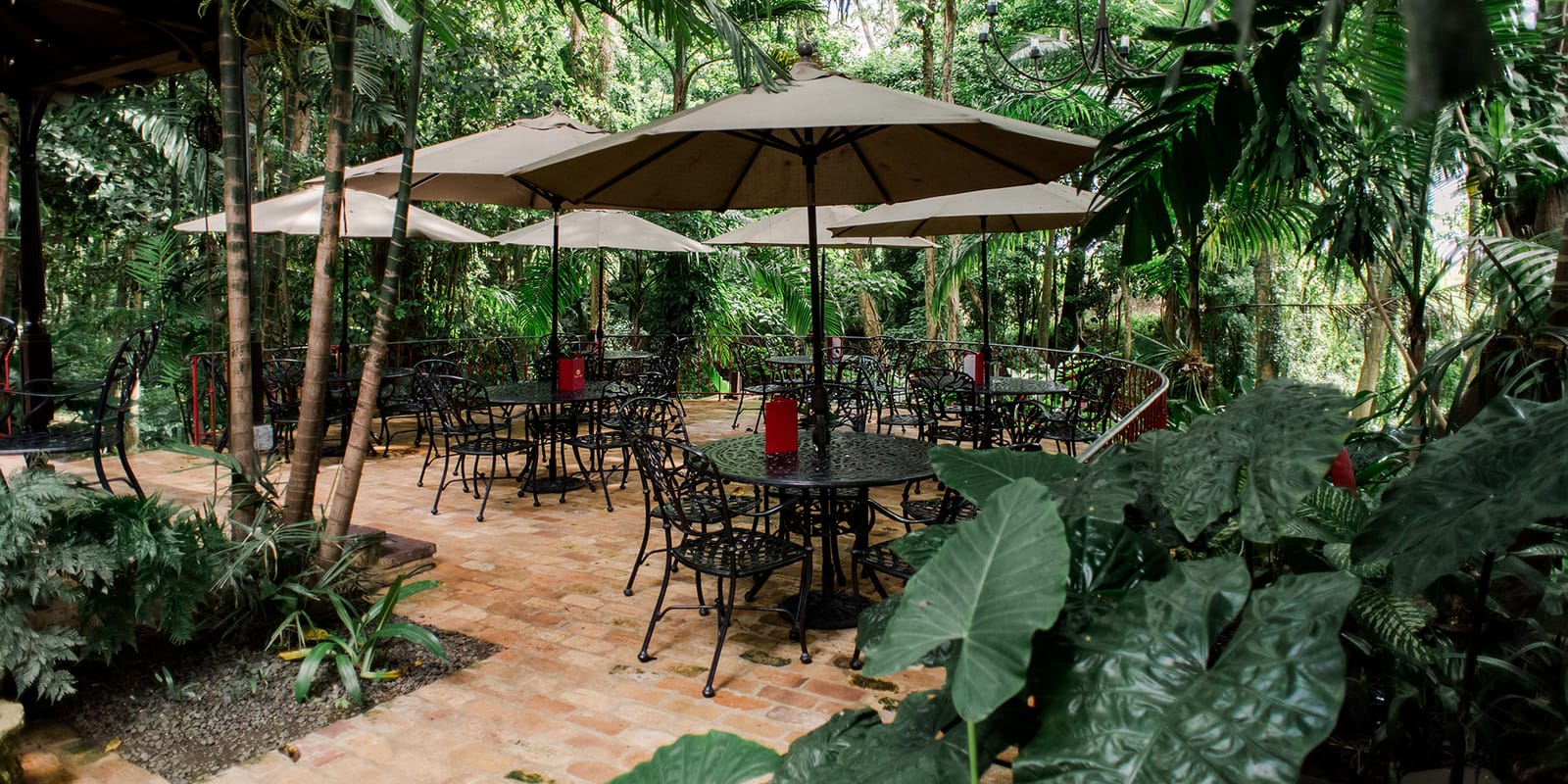 Terrace Café photo 2