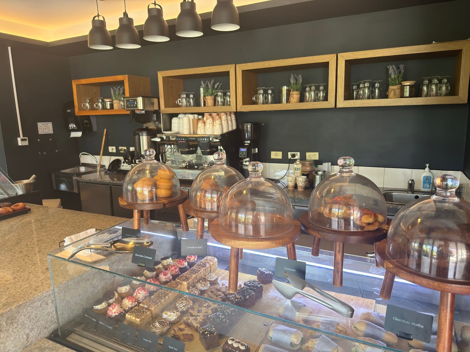 Scoops Gelato and Coffee Lounge