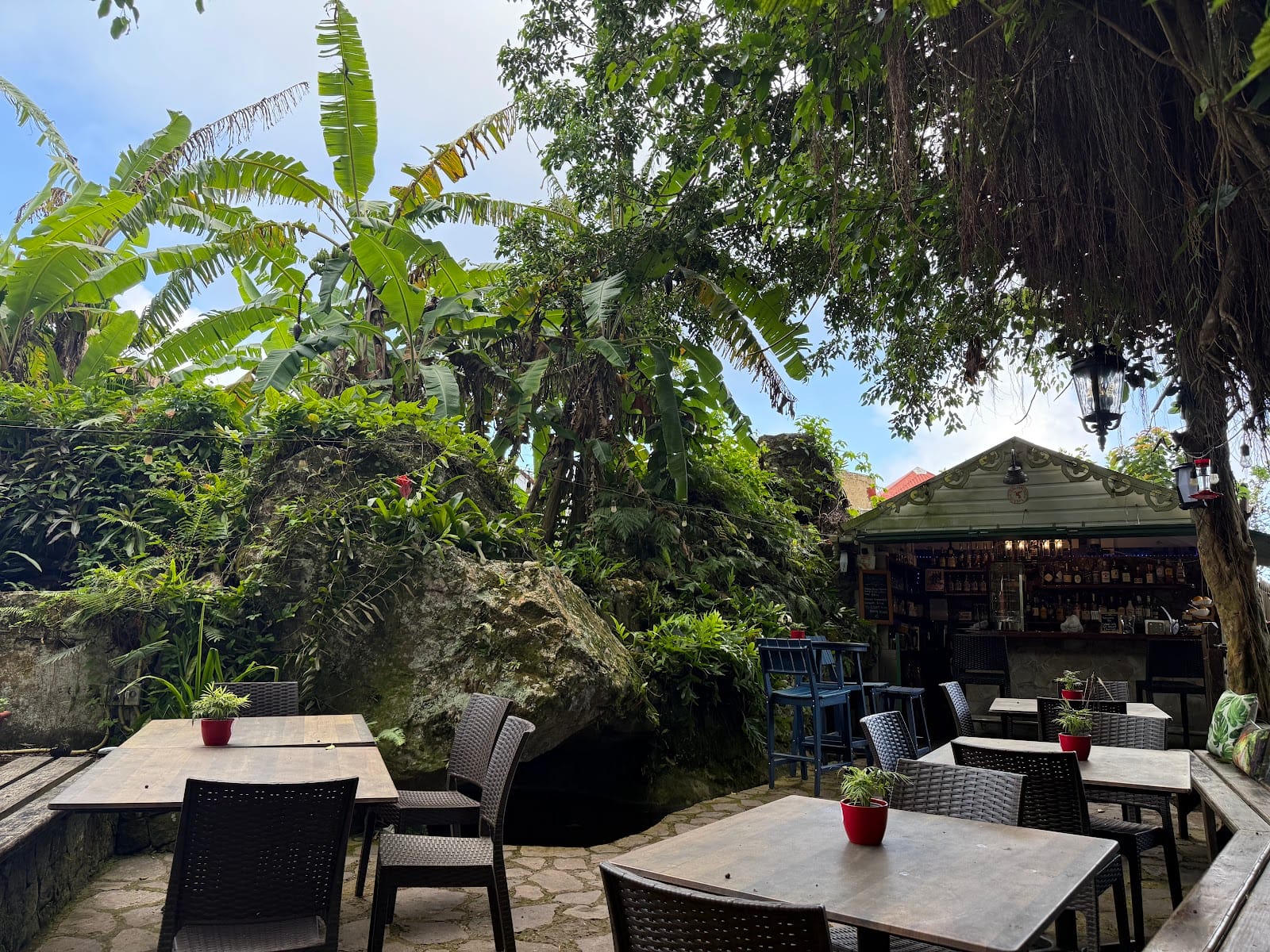 Colibri cafe