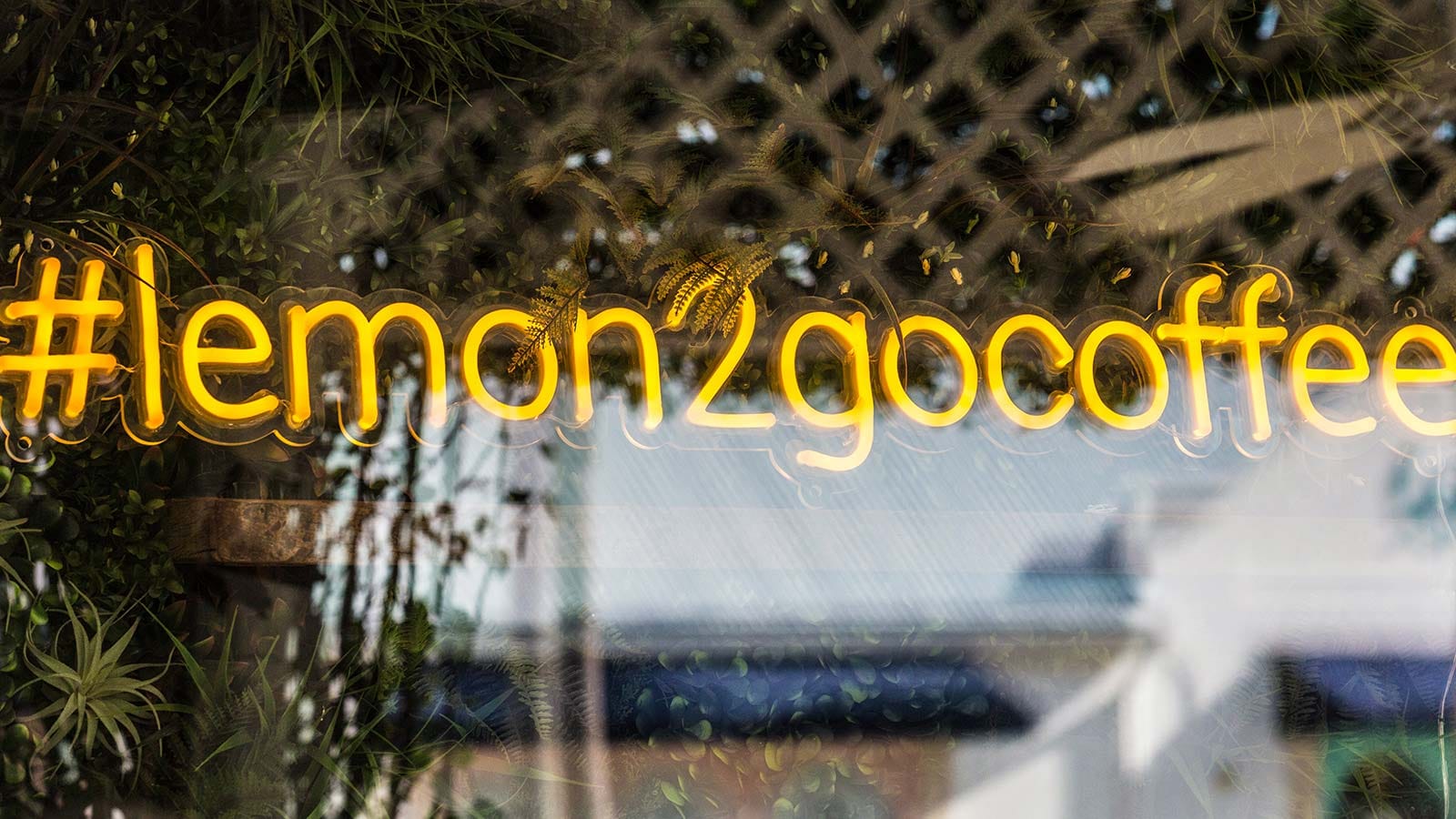 Lemon 2 Go photo 2