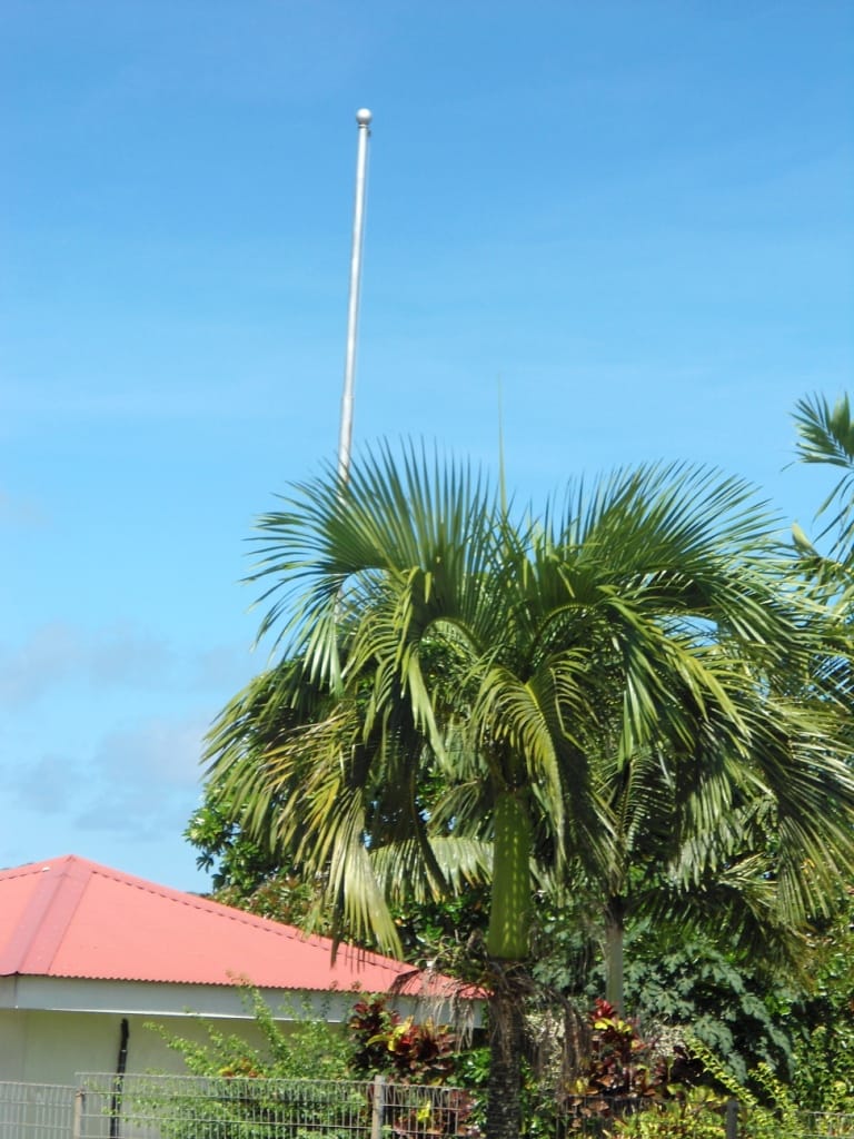 Faftai Tropical Flavor & Cafe photo 4