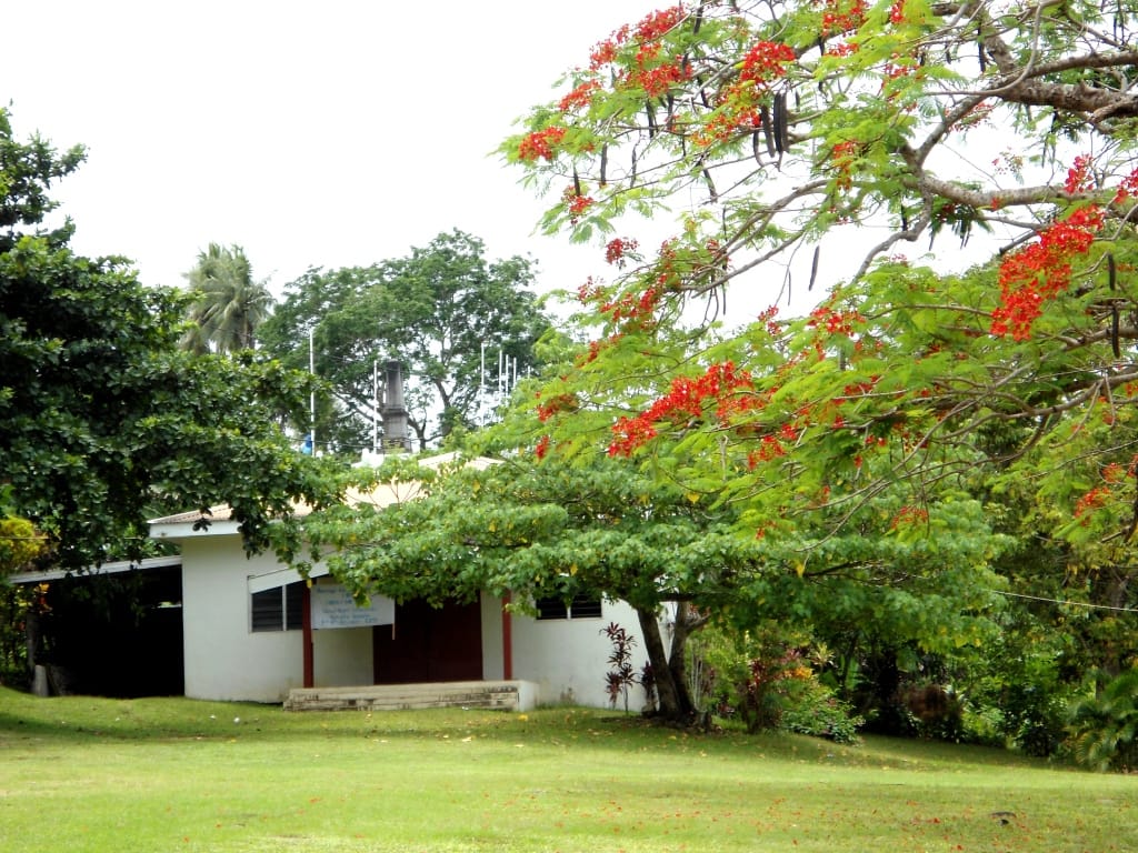 Cafe Vanuatu photo 4