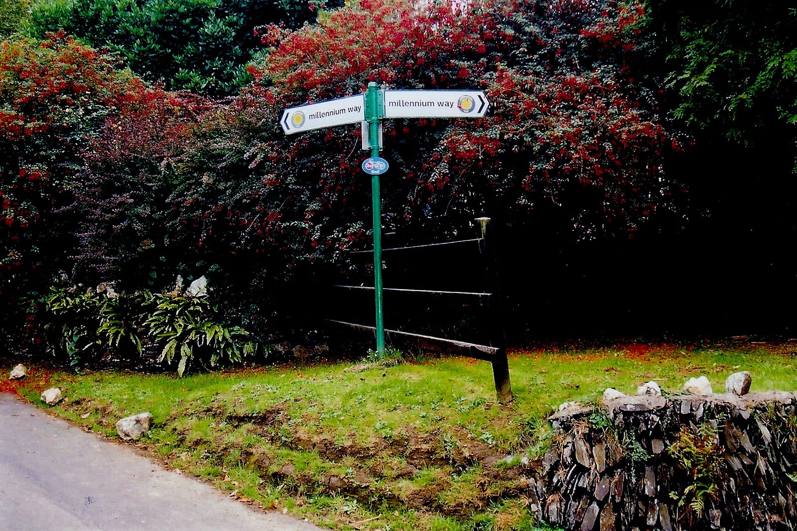 Silverdale Glen Cafe photo 3