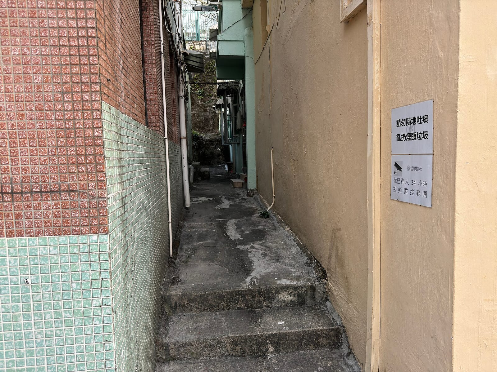 MAISON photo 3