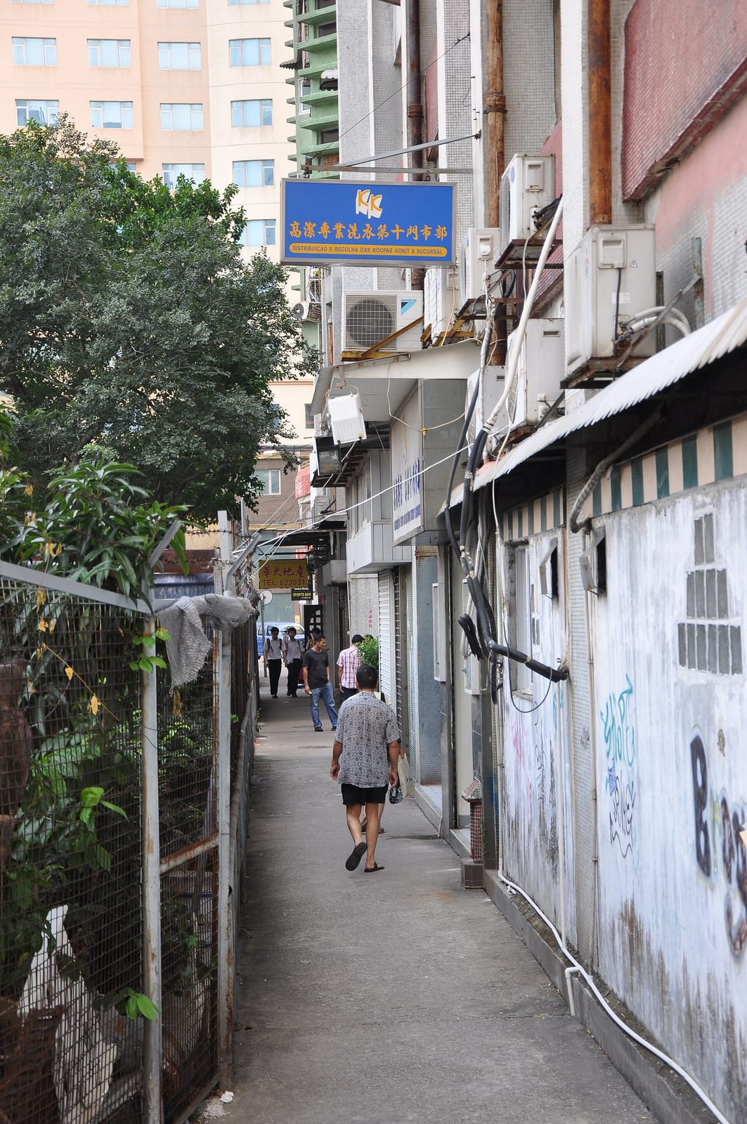 MOMOKAWA TAIPA photo 2
