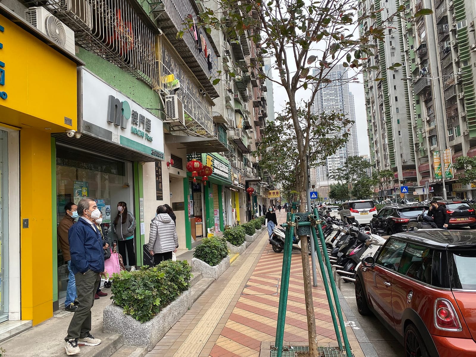 MOMOKAWA TAIPA photo 3