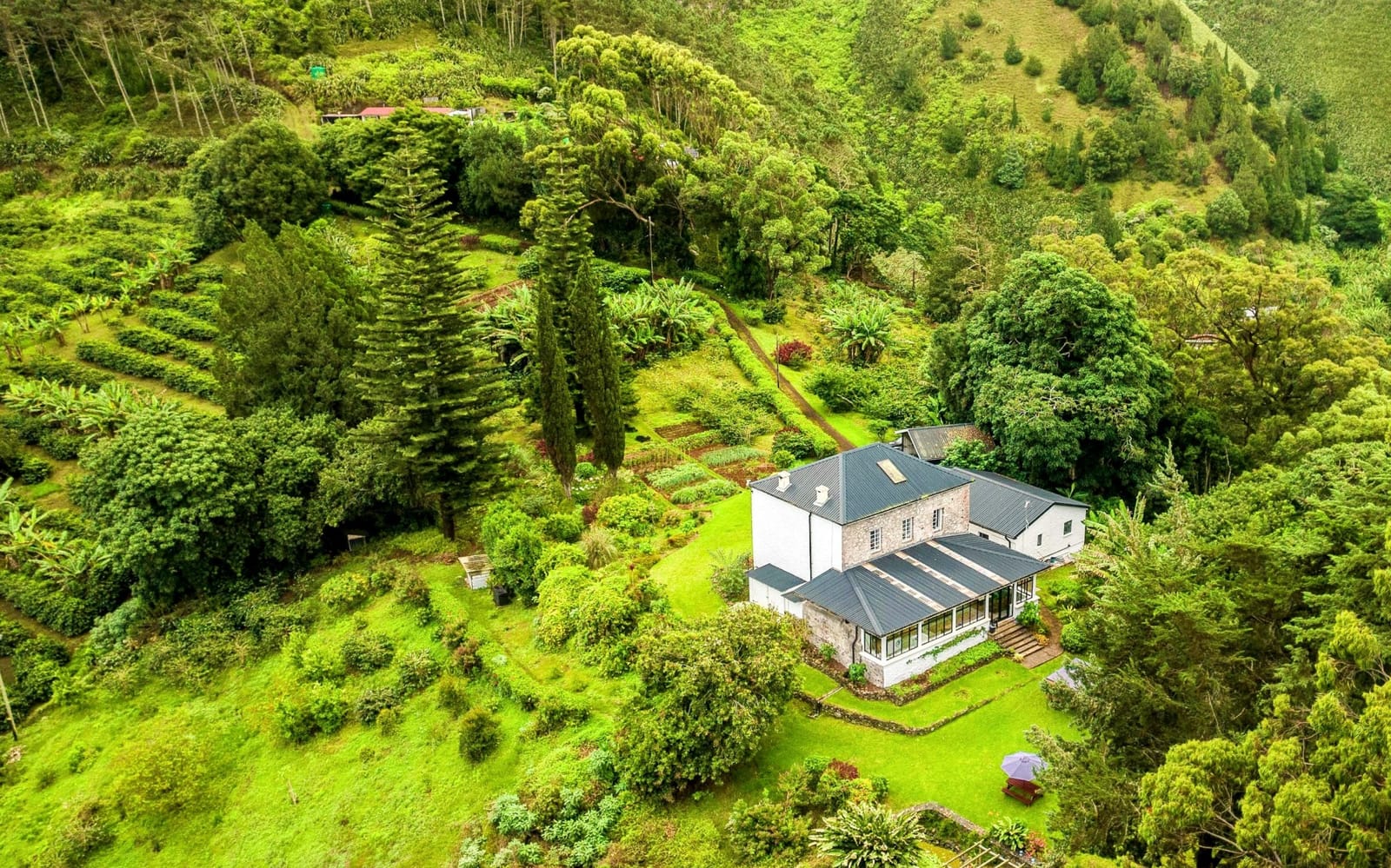 Wranghams House photo 3