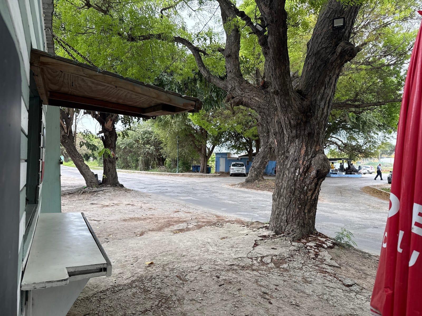 CAFETERIA LA TIA ISA