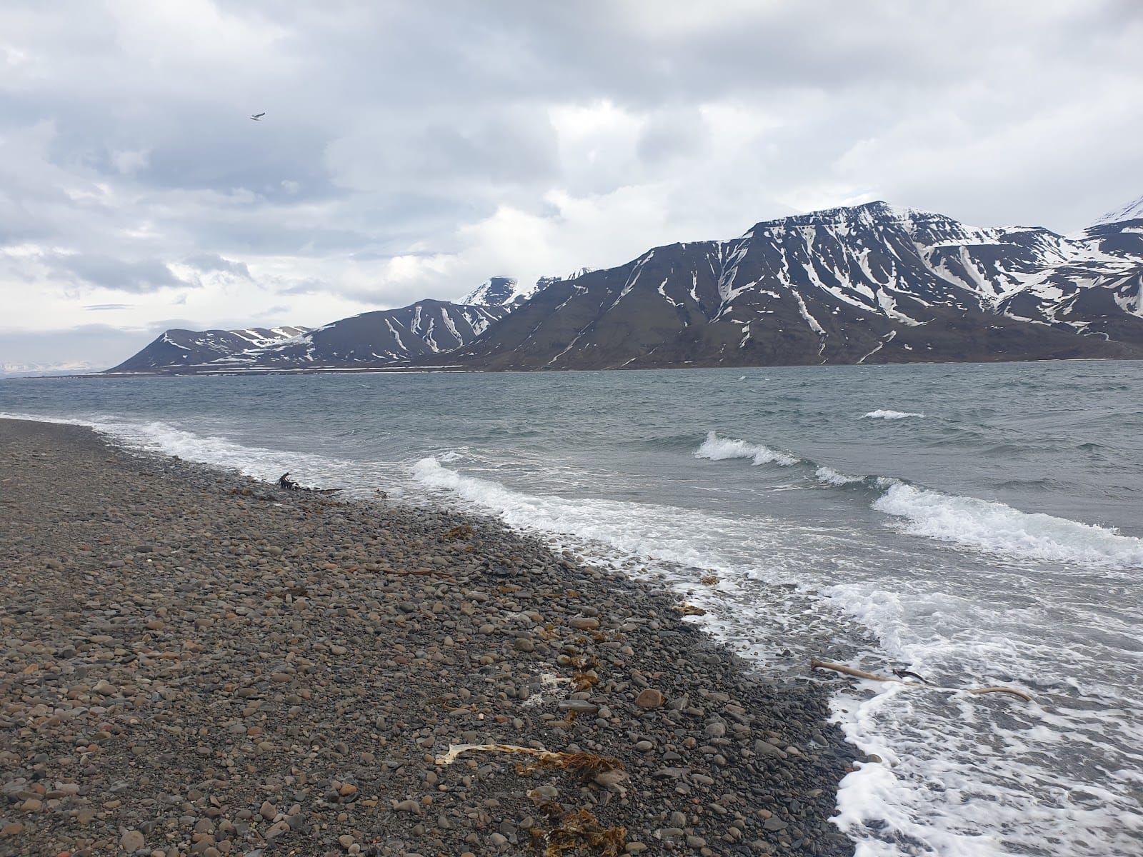 Svalbard Brenneri