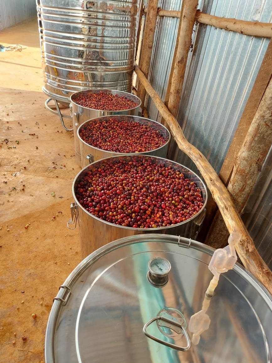 Viewfinder Coffee Roasters photo 4