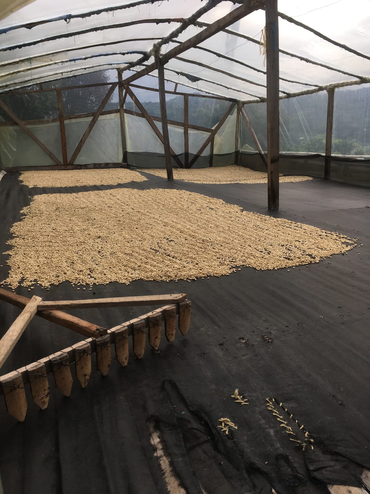 Tweed Coffee Roasters photo 7