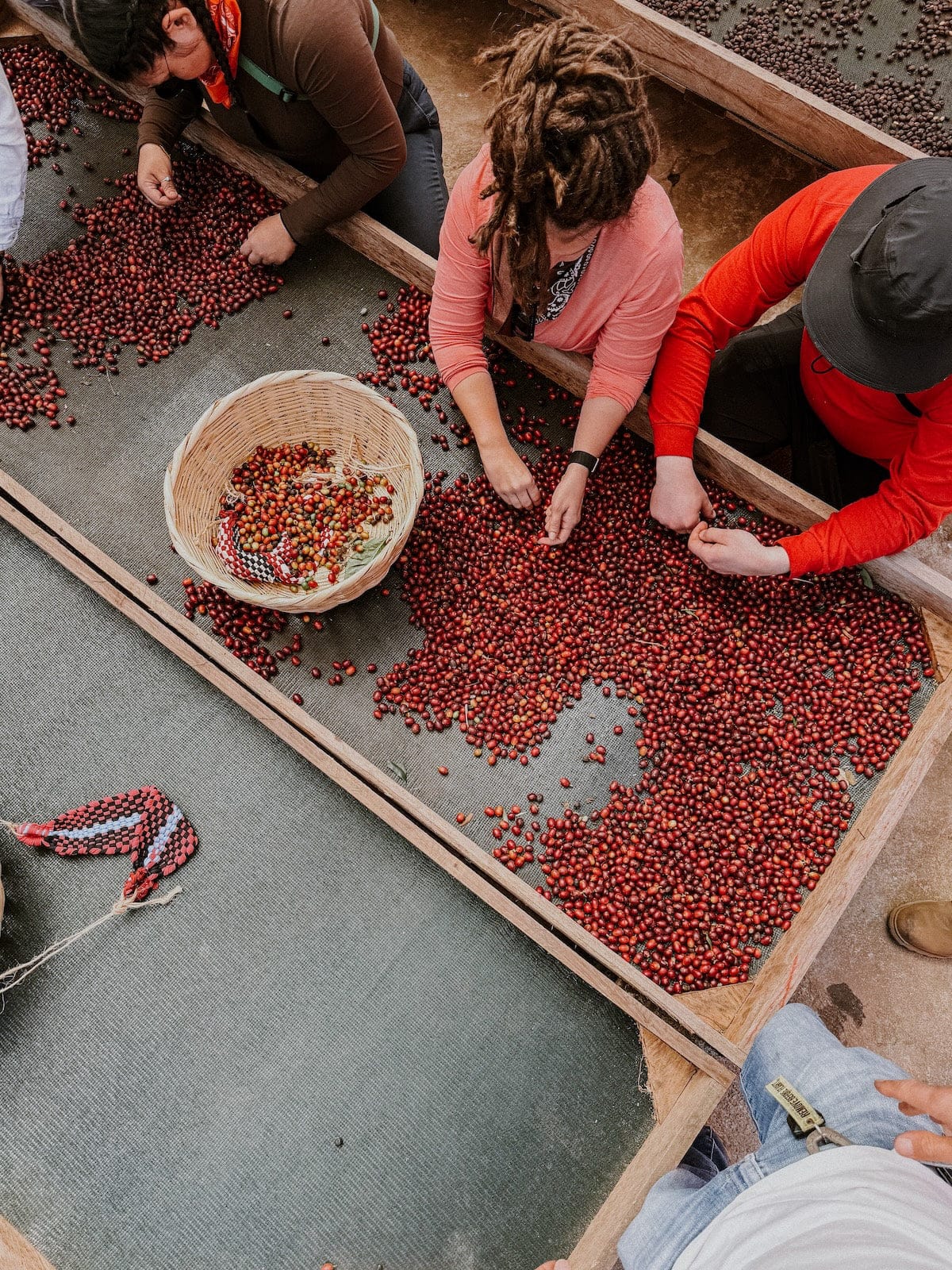 Novel Coffee Roasters photo 3