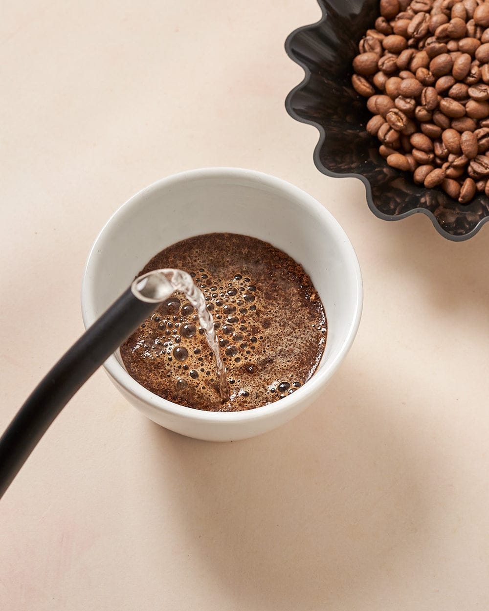 Novel Coffee Roasters photo 5