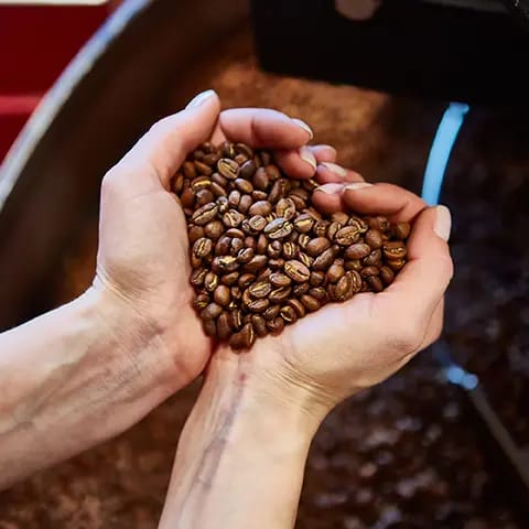Red River Roastery photo 5
