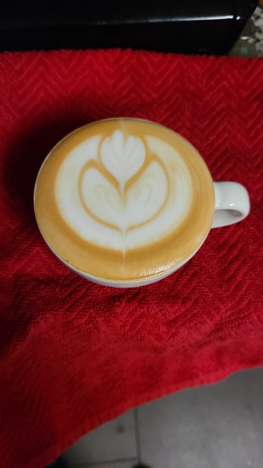 Bean Coffee Lab